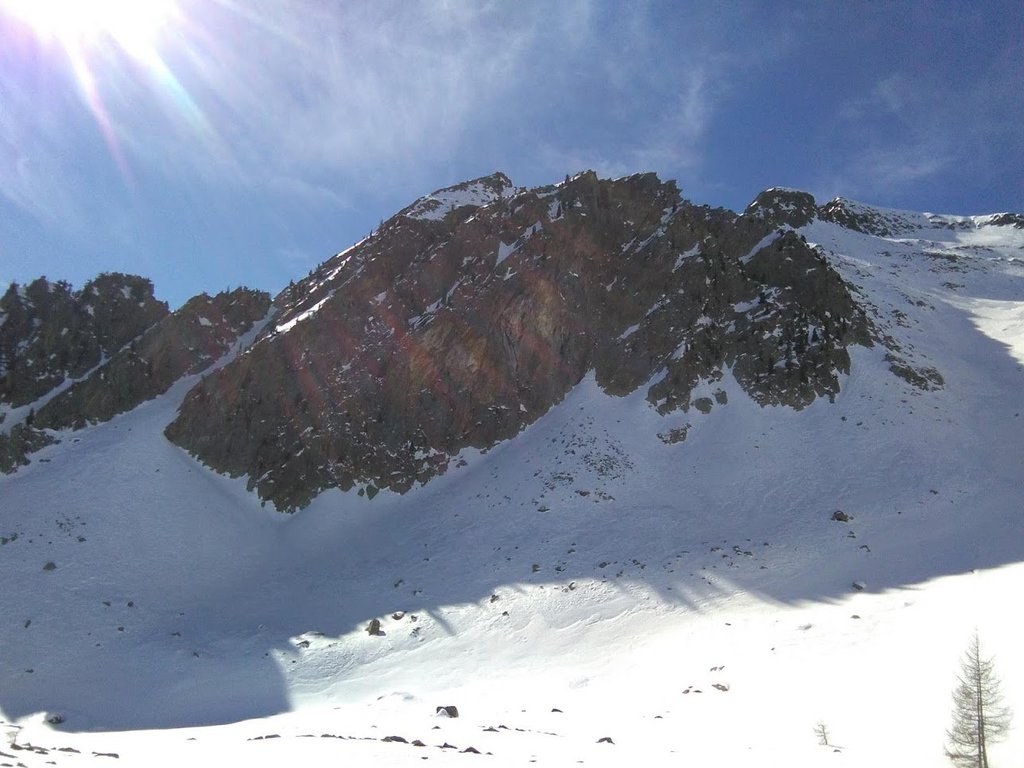 Photo of Frizzantina