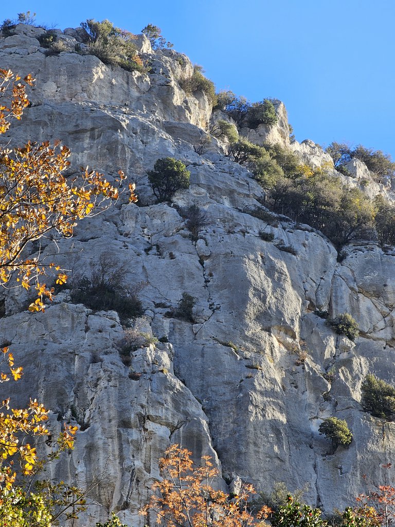 Photo of Antica Osteria