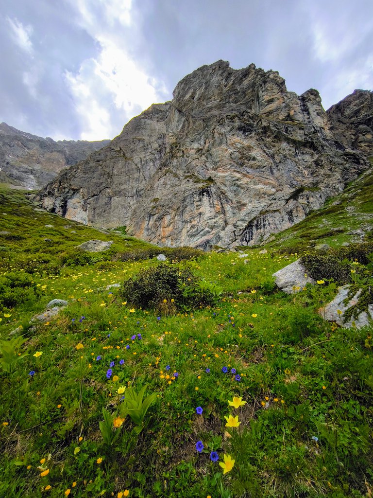 Photo of Cignana Paradise