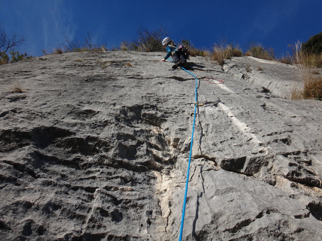 Photo of Sognando una Bionda