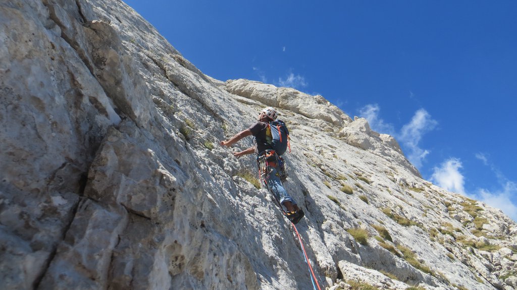 Photo of Fallo per Scelta