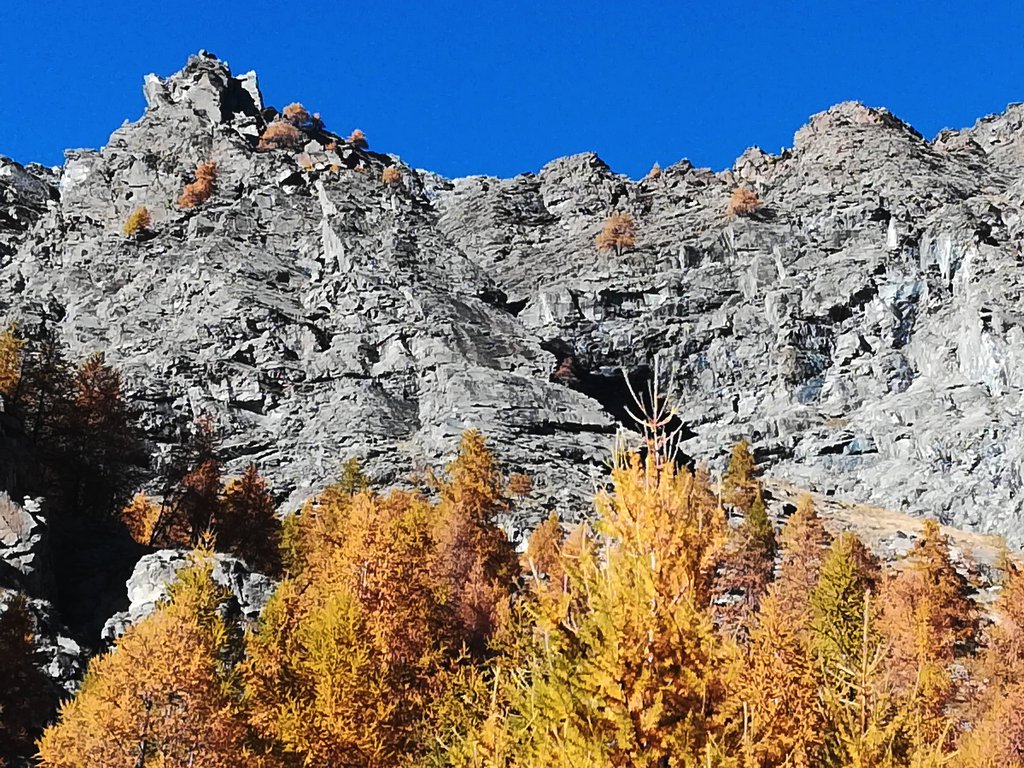 Photo of Verde Smeraldo VIA CHIUSA
