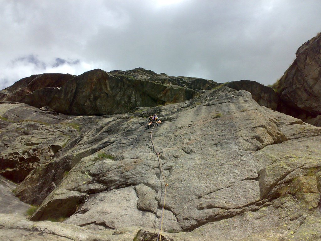 Photo of Génépy
