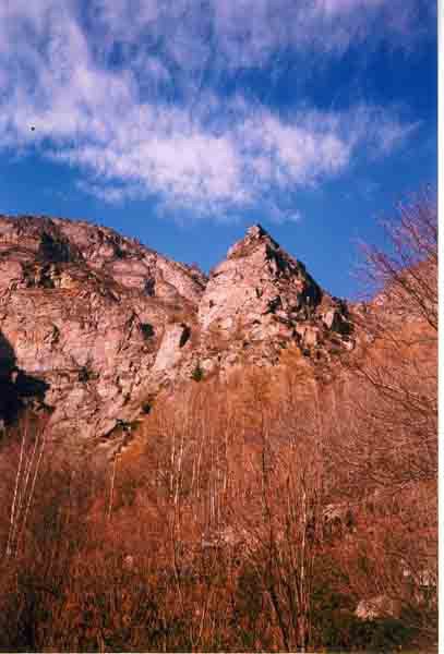 Photo of Principessa