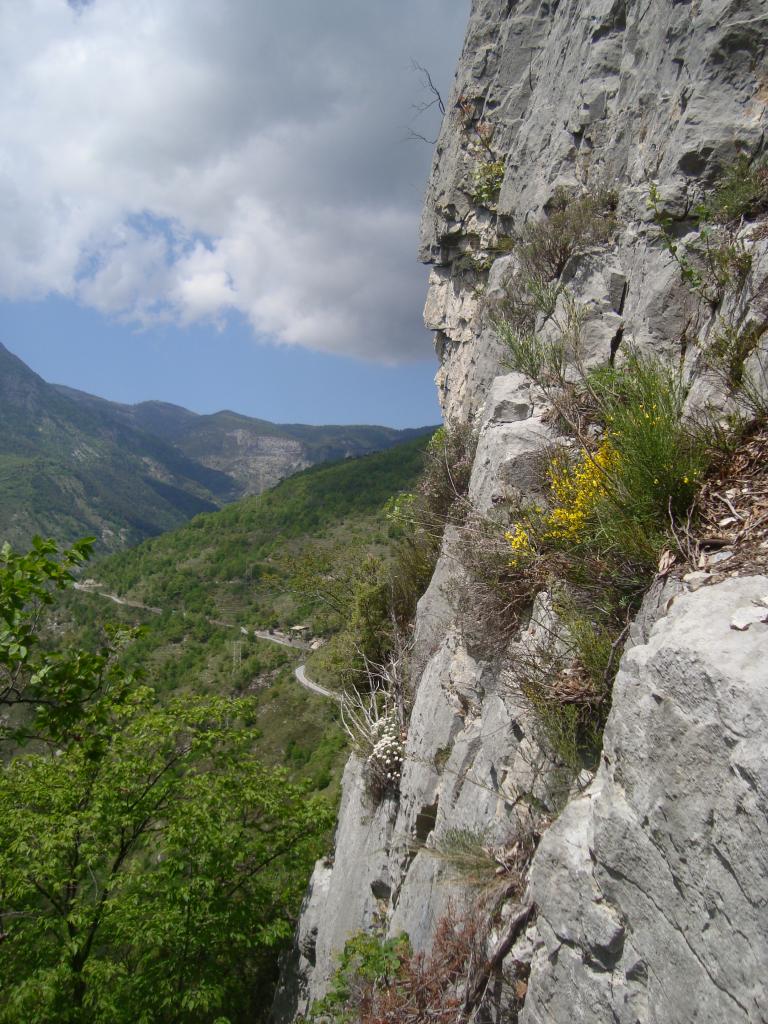 Photo of (Non) E’ una via per Vecchi