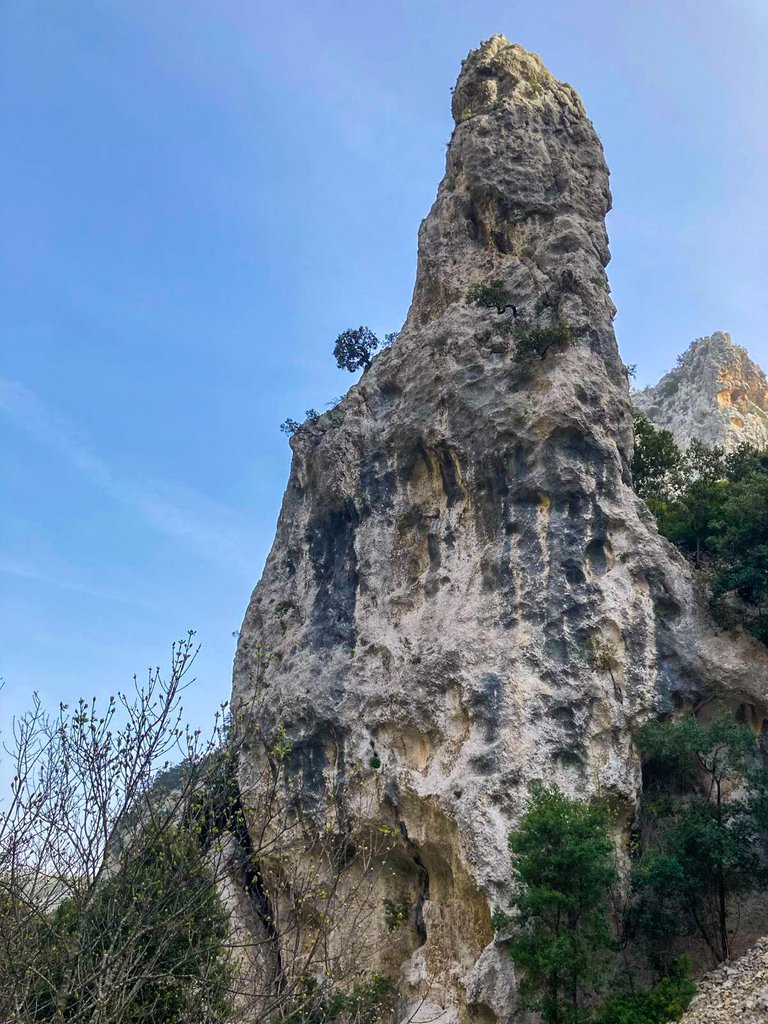 Photo of Sinfonia del Mulino Bianco