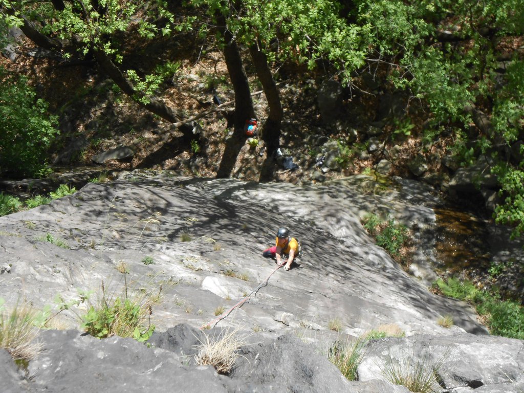 Photo of SuperFer