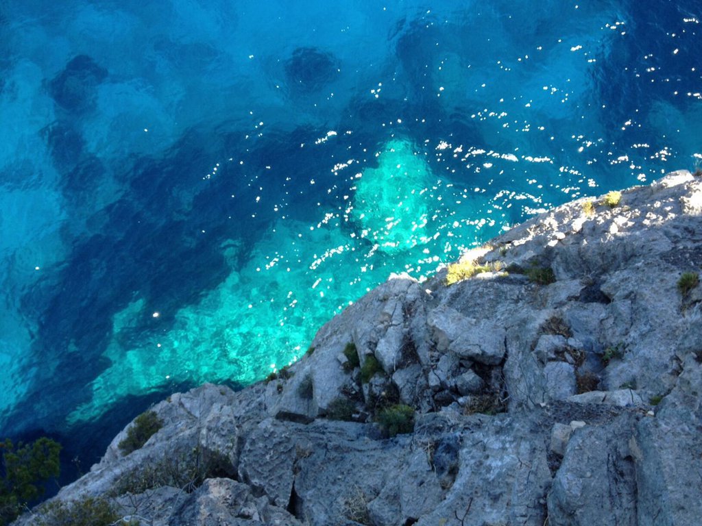 Photo of Marinaio di Foresta