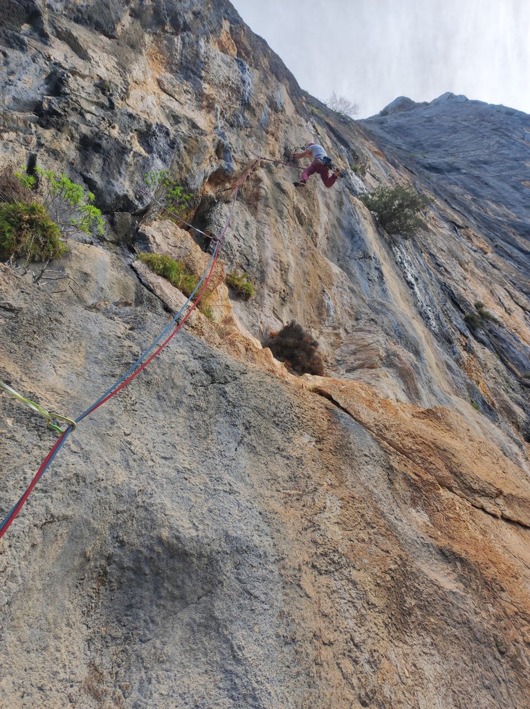 Photo of HLF (Hard Long Free)