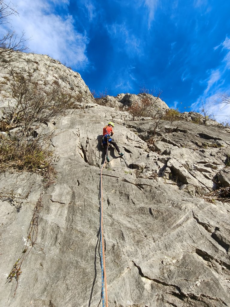 Photo of Stelle Cadenti