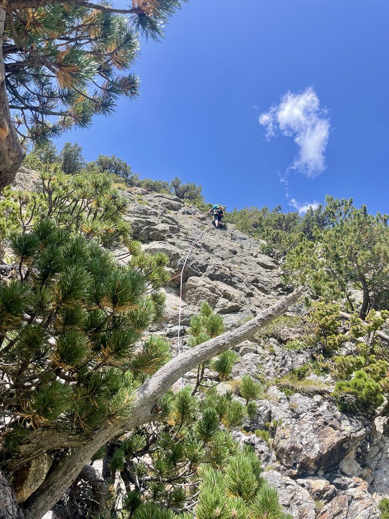 Photo of Nuova Scena