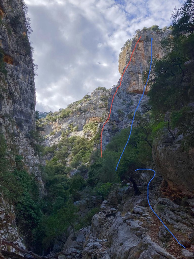 Photo of In Cauda Venenenum