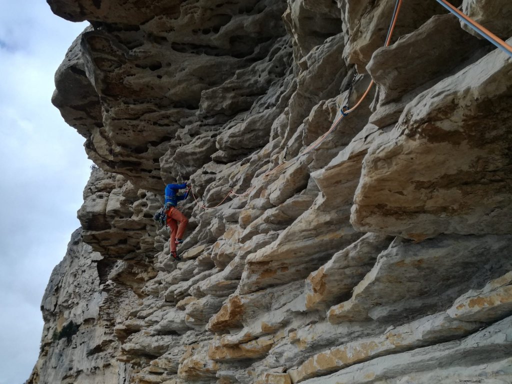 Photo of Canail Bis