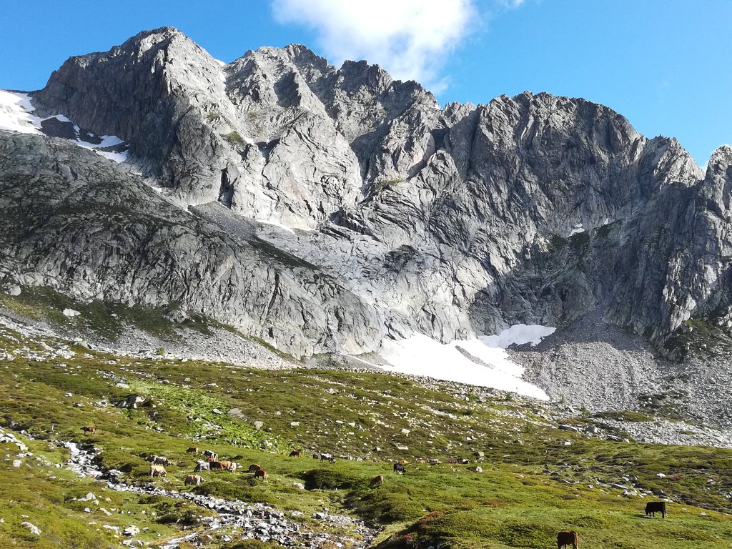 Photo of Piccadilly di Bedretto