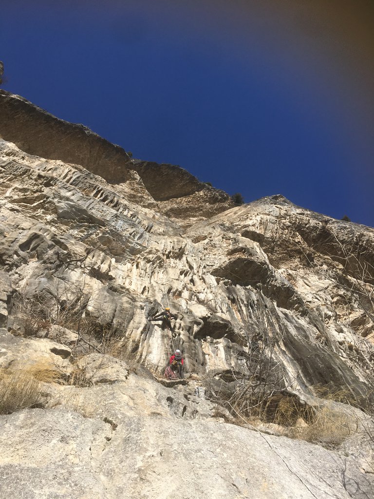 Photo of Nella Tana del Lupo