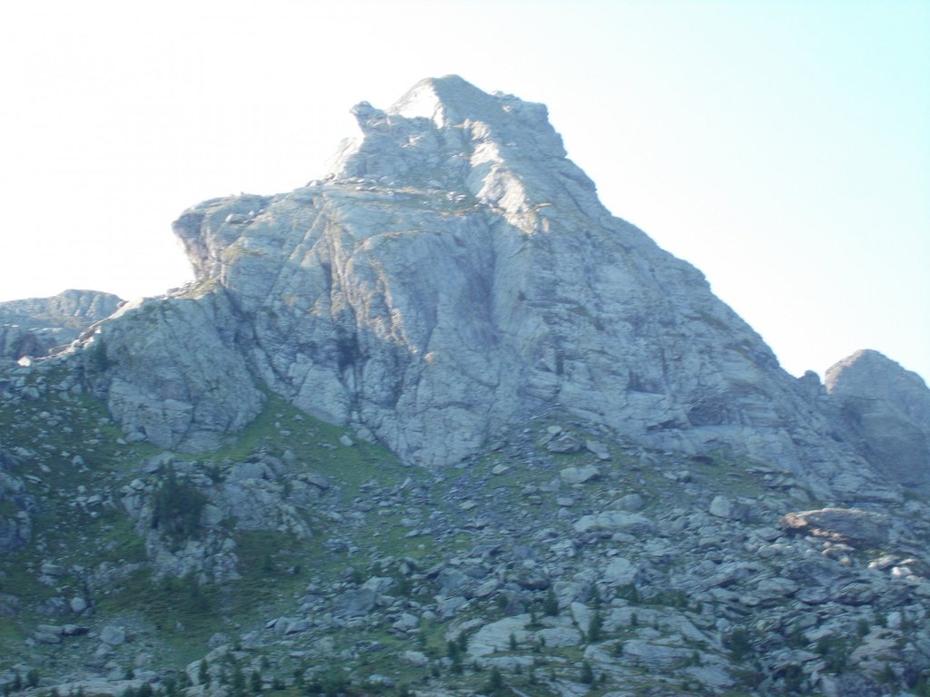 Photo of Fior di Montagna