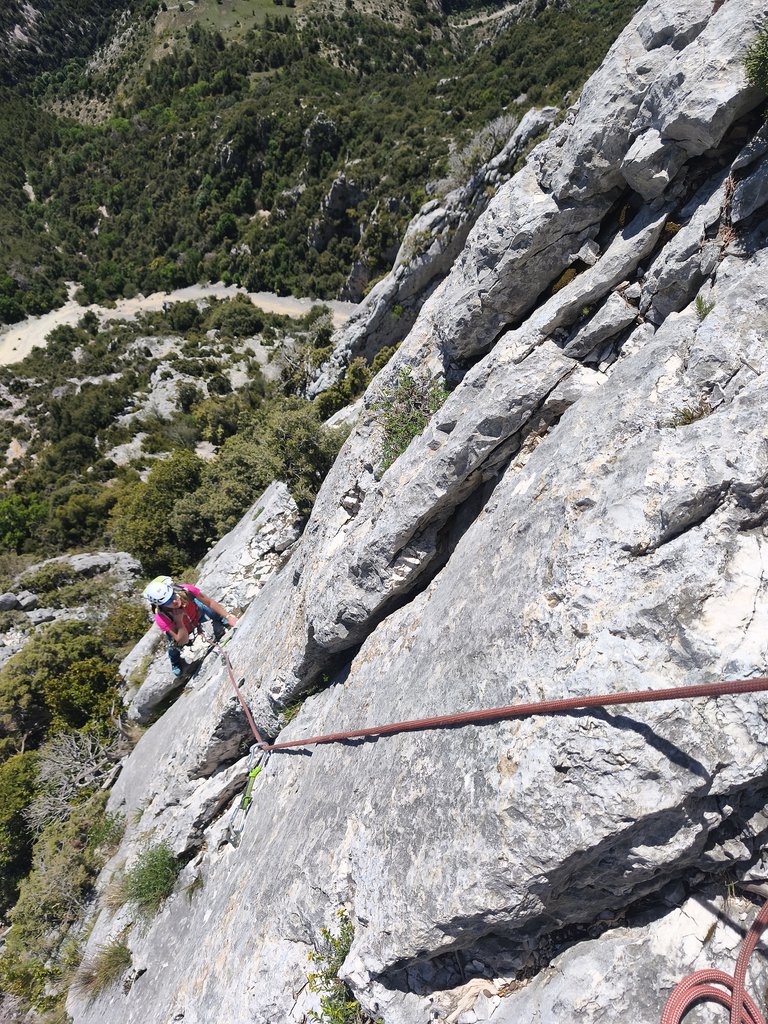 Photo of Lou des Garrigues