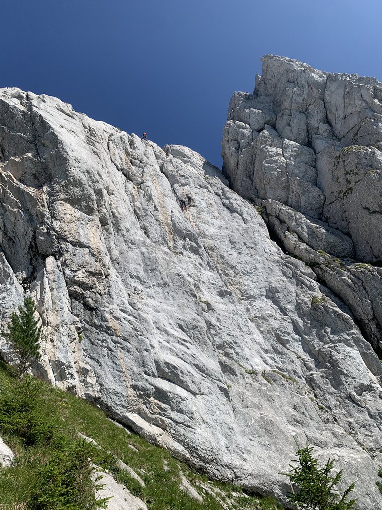 Photo of Grand Lézard