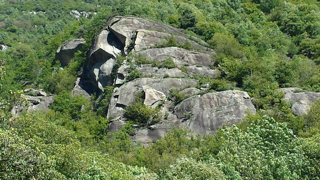 Photo of Il Paradiso delle Lucertole