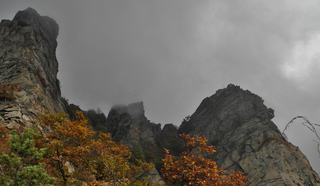 Photo of Diagonale Ovest