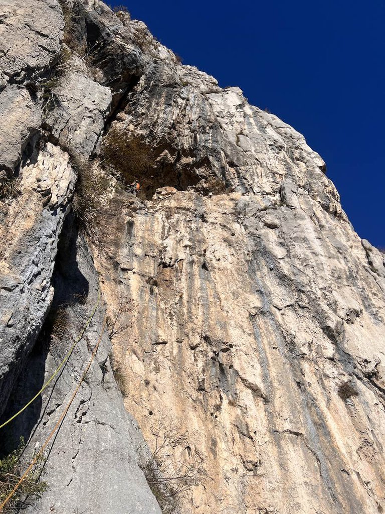 Photo of Luci della Città