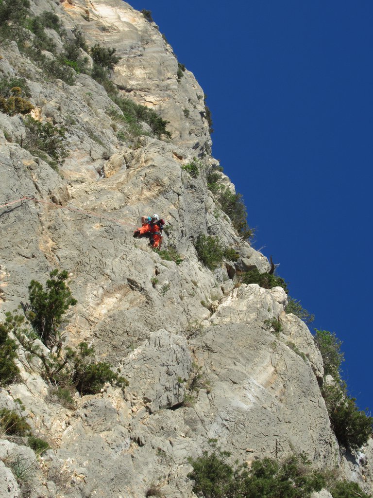 Photo of Corvalis
