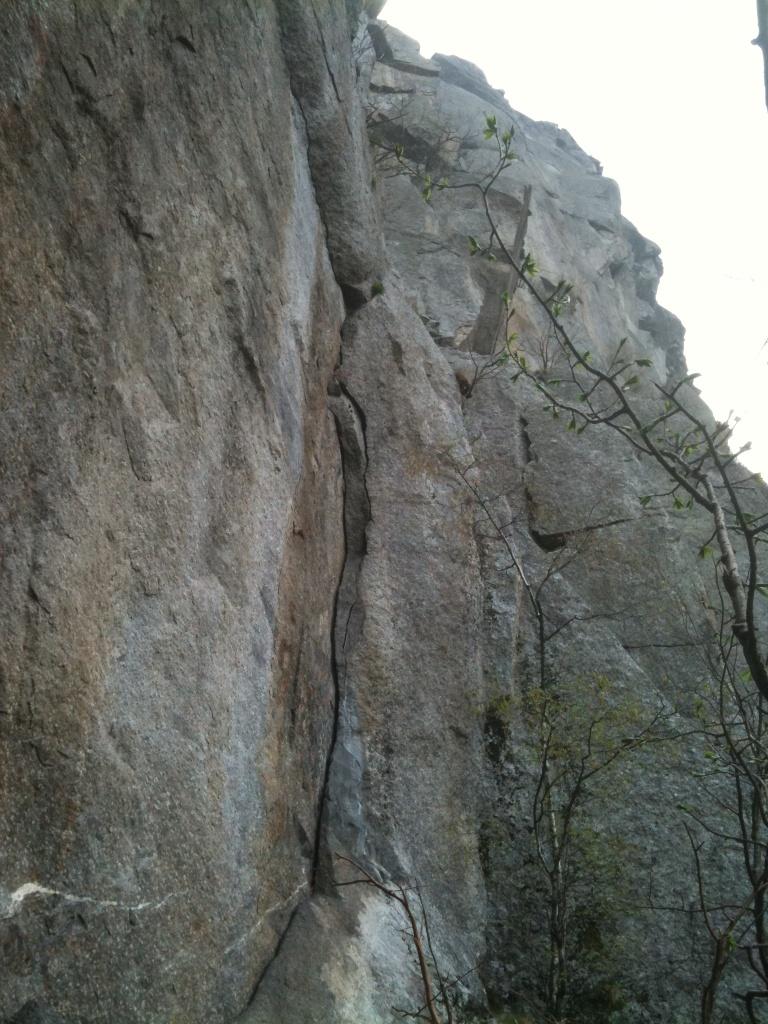 Photo of Senza Regole