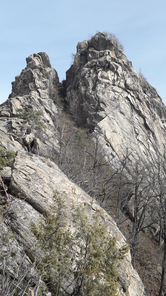 Photo of La Valvolina