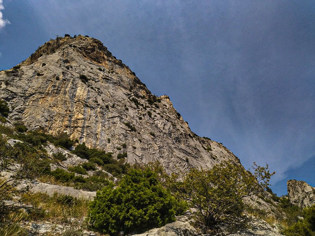 Photo of Nonzo