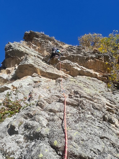 Photo of Fiammifero d’Oro