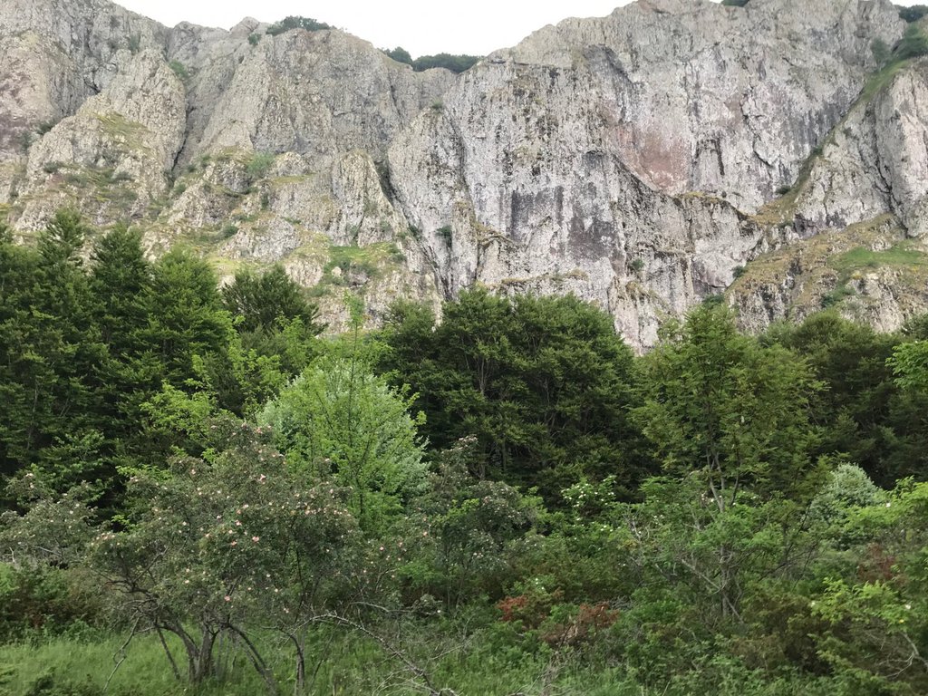 Photo of Indiana Giones