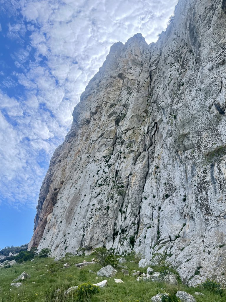 Photo of Libertango