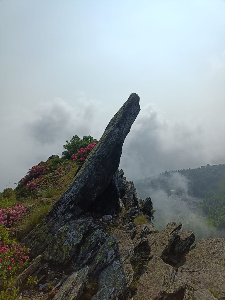 Photo of Alpe Colombino, Cresta del Selvatico integrale + Cresta delle Rocce del Colletto