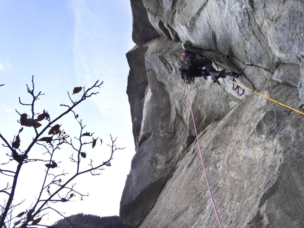 Photo of Nirvana verticale