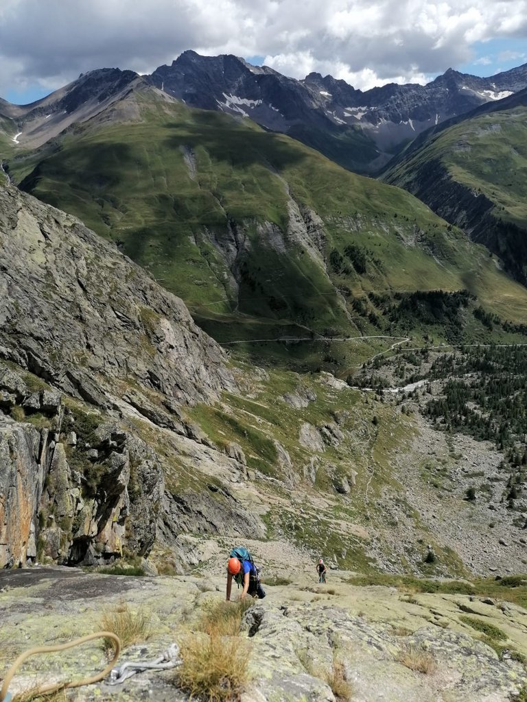 Photo of Génépy 1