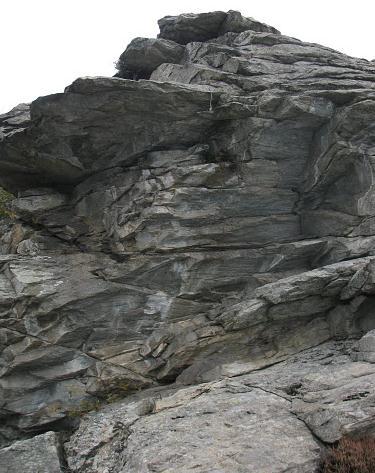 Photo of Siamo dei Pesci