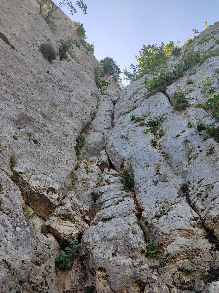Photo of Diedro Canale