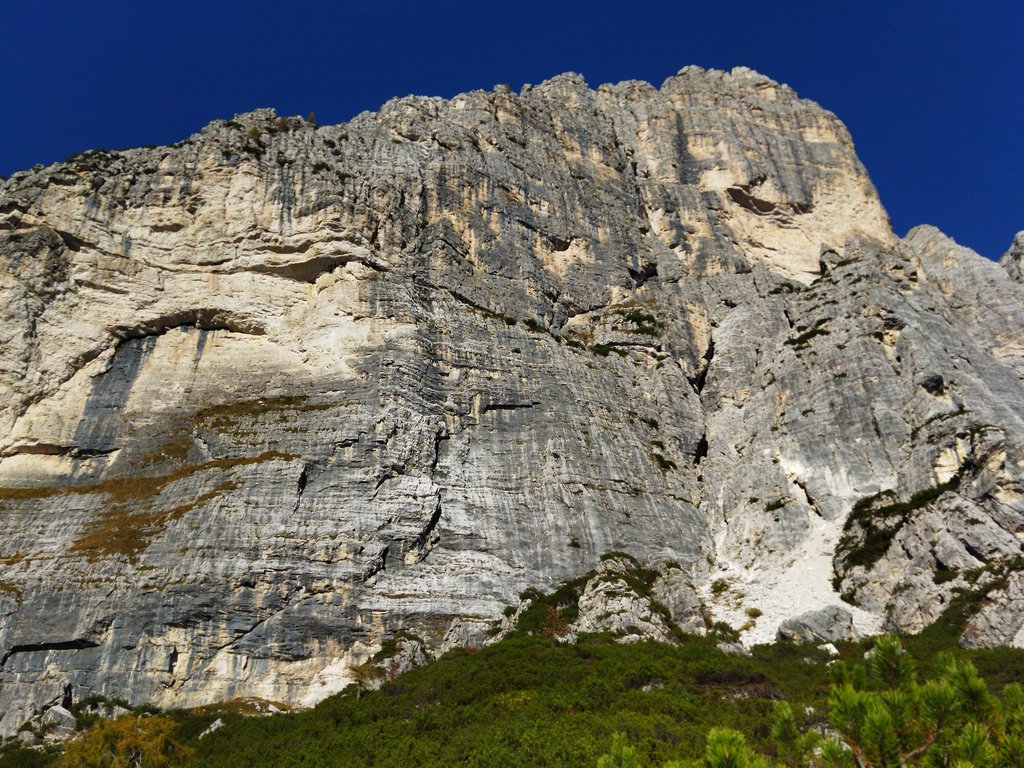 Photo of Decima