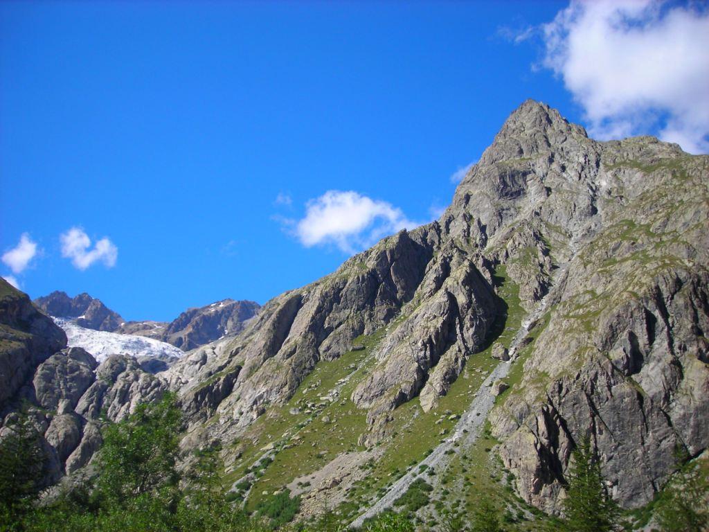 Photo of Chamois Perspicace