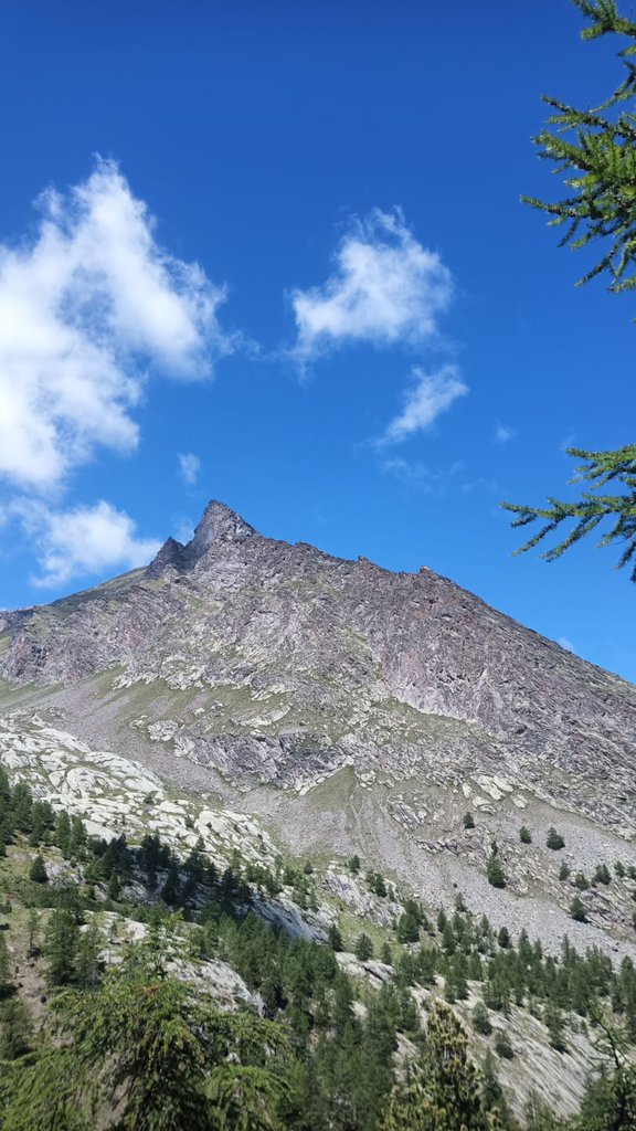 Photo of La Barca nel Bosco