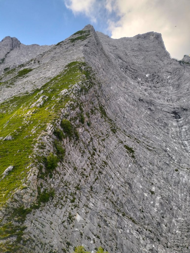 Photo of Aruspice