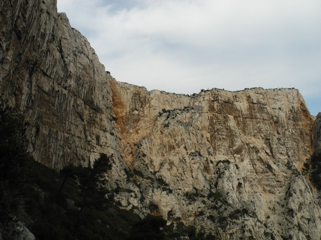 Photo of La Cheminée du Cirque