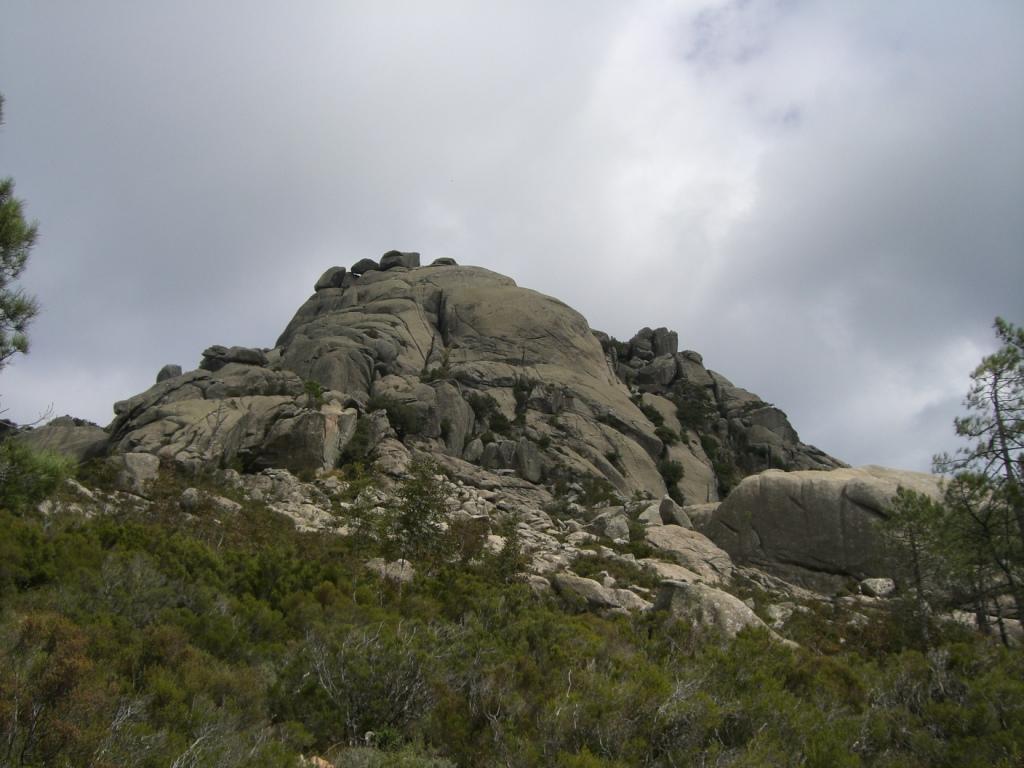 Photo of Democratia