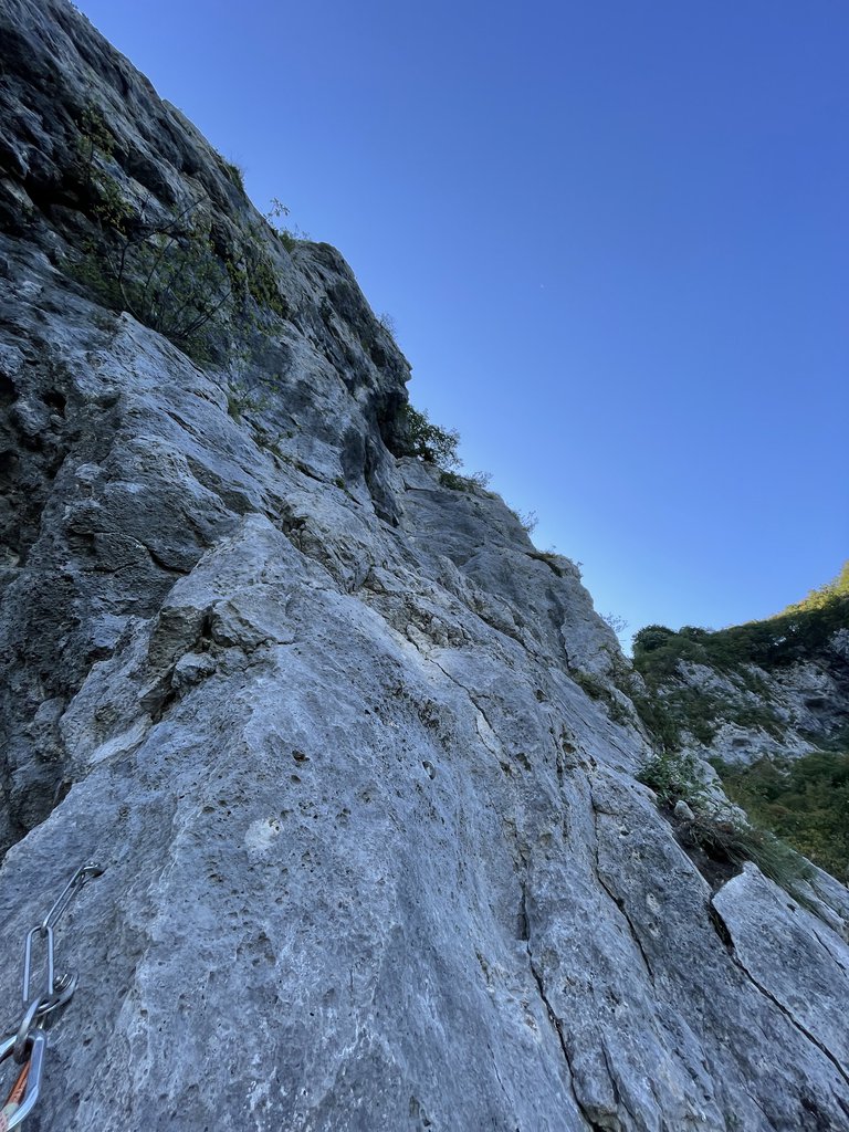 Photo of Non è Francesca