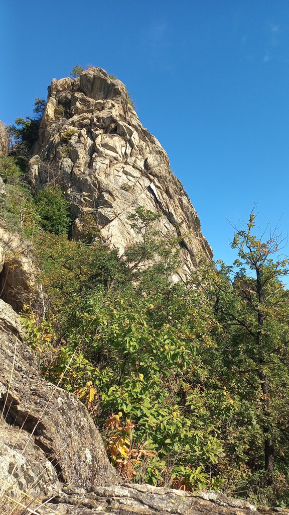 Photo of Disdeut