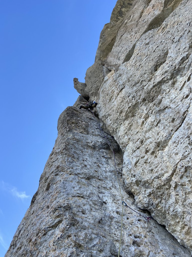 Photo of Natilik
