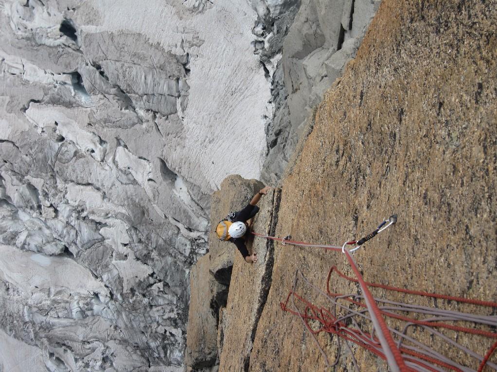 Photo of Total Plook
