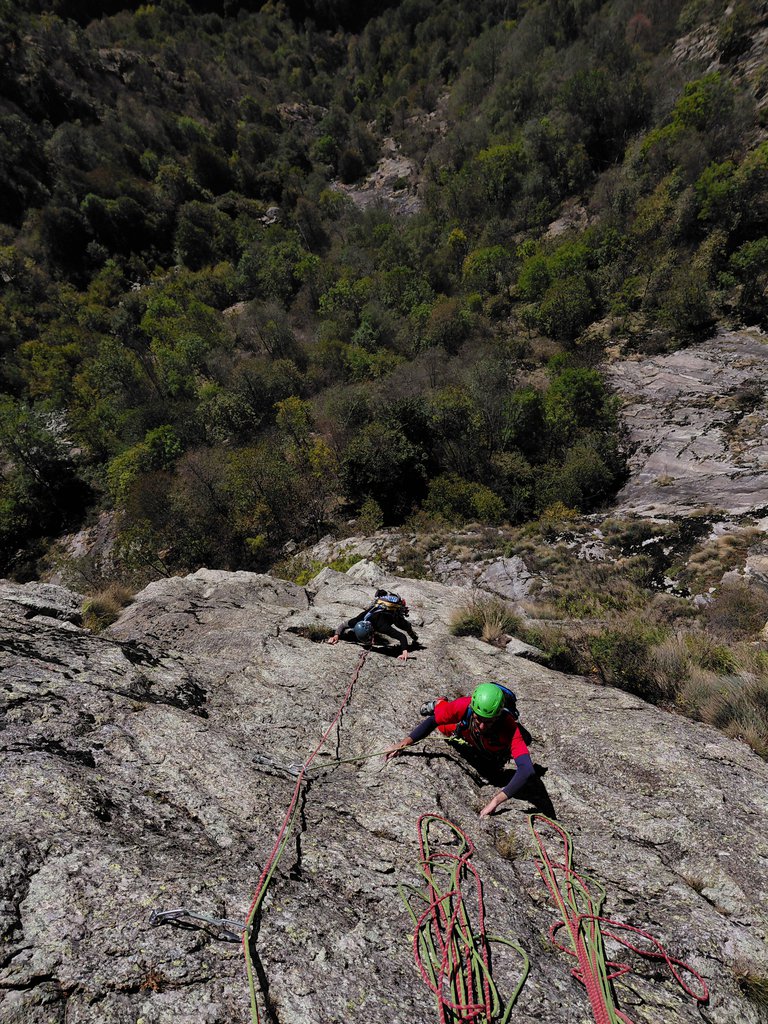 Photo of Viva Dolcino