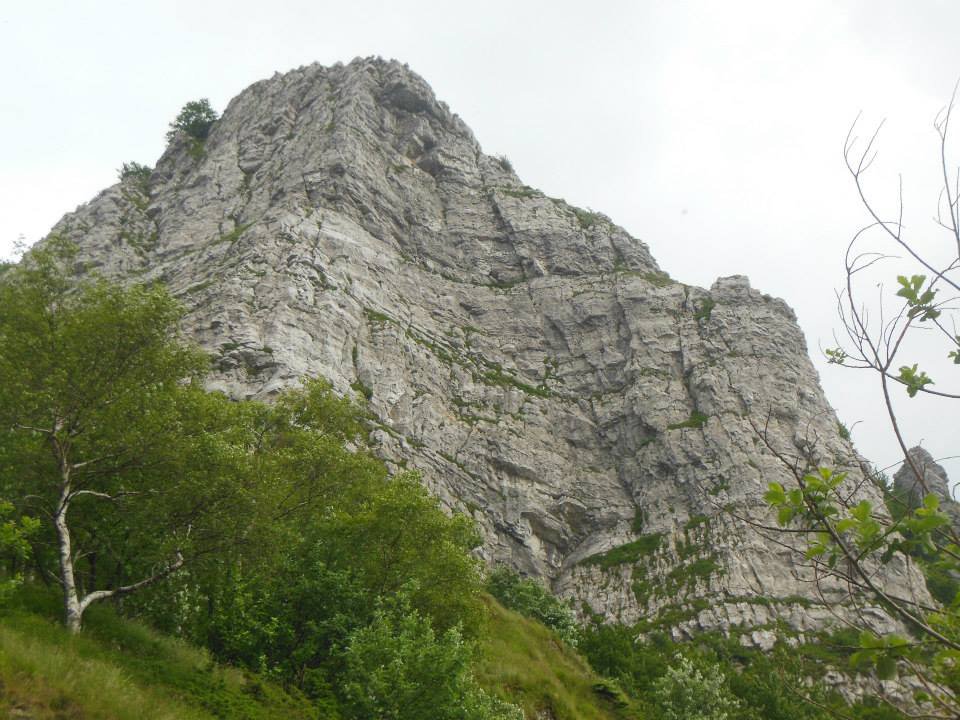 Photo of Fociomboli Amico Almo