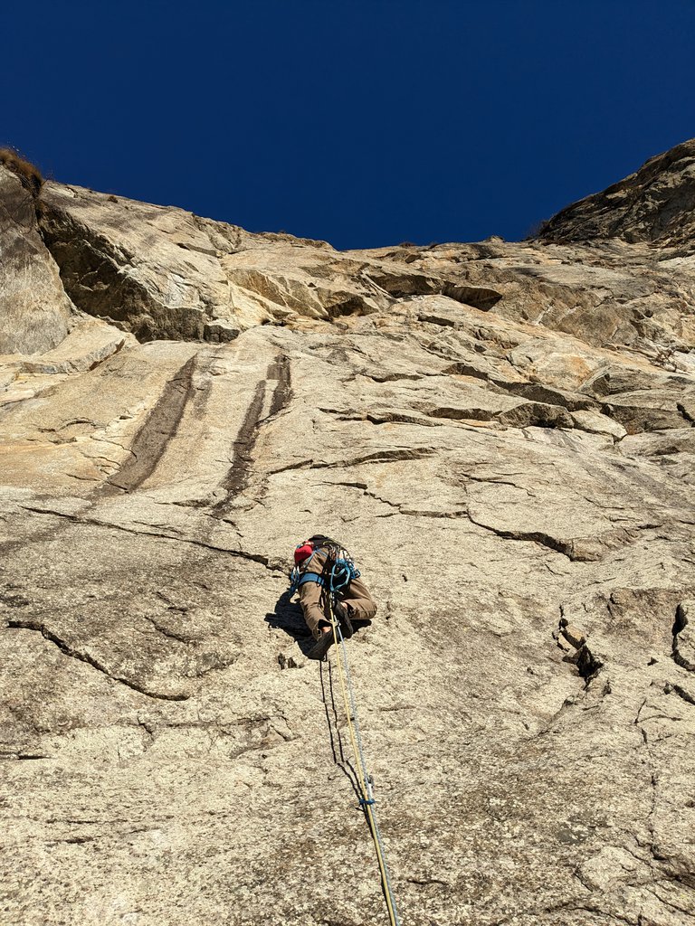 Photo of Sette Bello